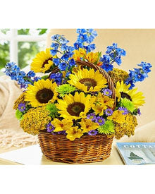 Fields Of Europe For Summer Basket